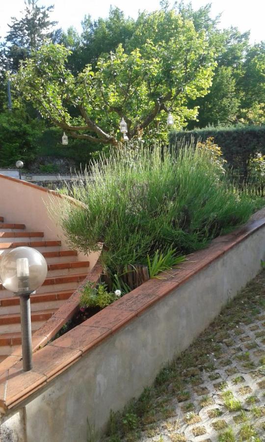 Villa Rosa Caporciano Esterno foto